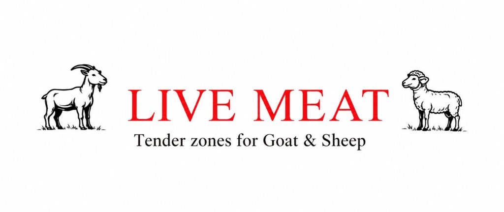 Digital Marketing Agency in Hyderabad-Livemeat
