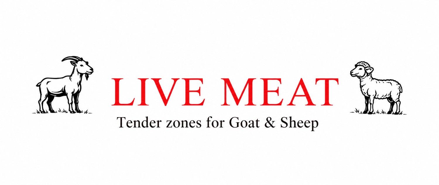 Digital Marketing Agency in Hyderabad-Livemeat